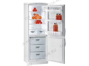 Холодильник Gorenje K337/2CLA (645881, HZOS3366) - Фото